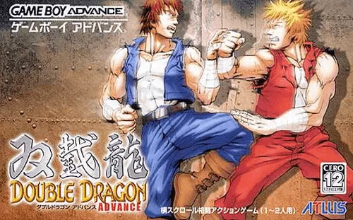 Double Dragon Advance